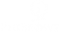 PhiBrows logo